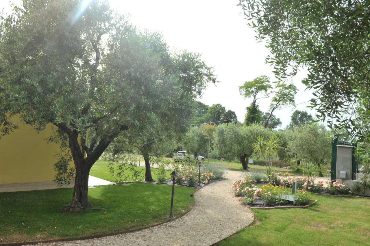 Bed & Breakfast Paradiso Degli Ulivi