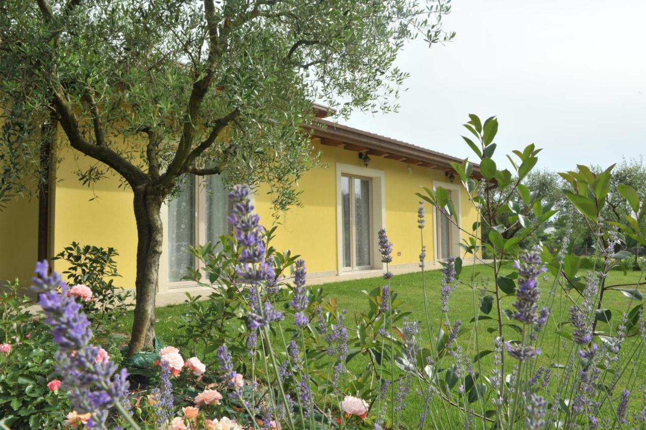 Paradiso Degli Ulivi